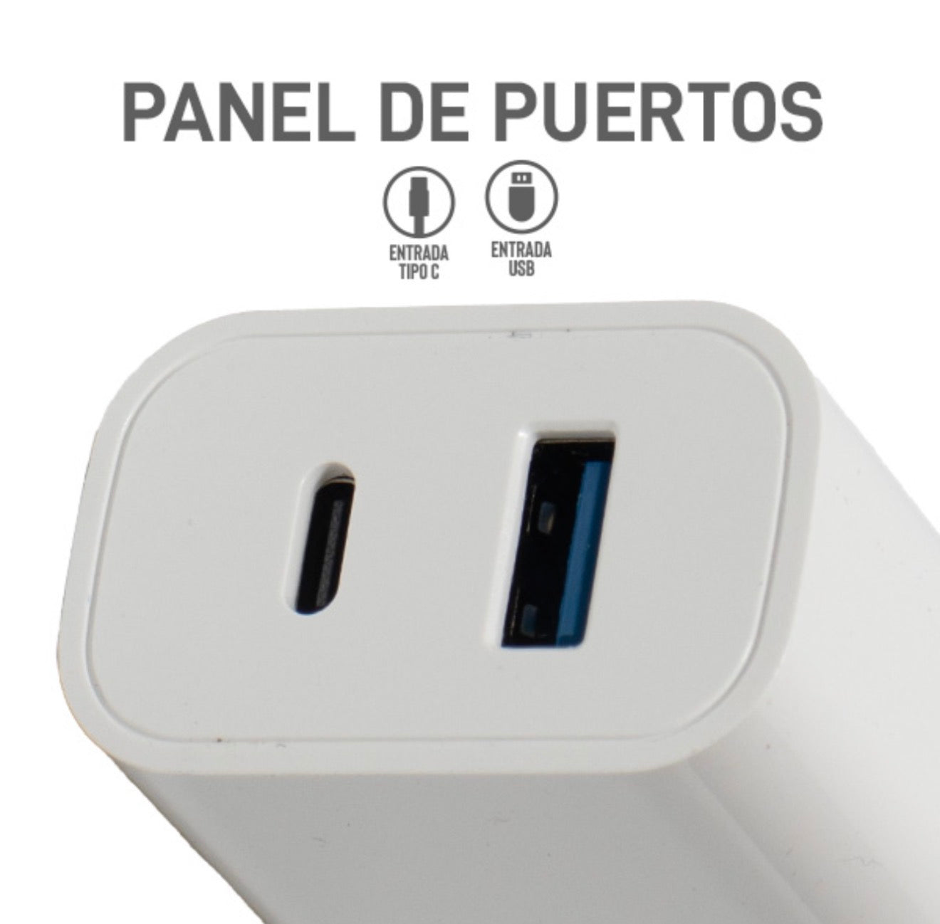 CLAVIJA DE 12W USB Y TIPO C CAR-321